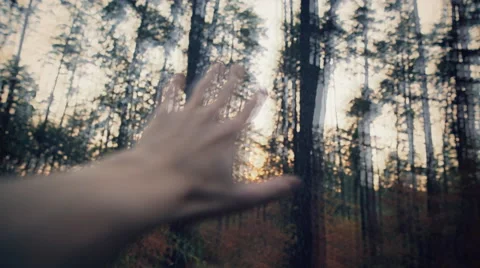Dizziness. Hallucinations. Blurry Hand In The Background Of The Forest Видео 55449336