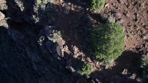 Dizzying aerial of tall cliffs on the edge of a canyon Stock Footage 252394820