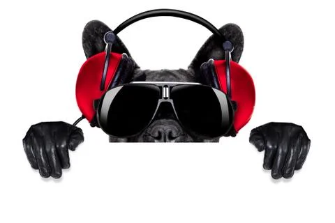 Dj dog Stock Photos