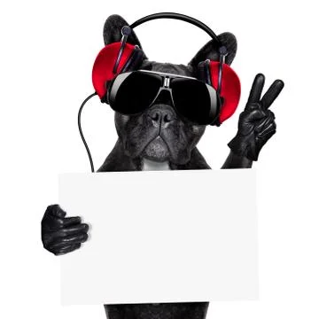 Dj dog Stockfoto's
