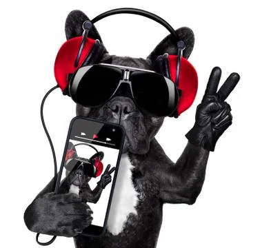 Dj dog Фото