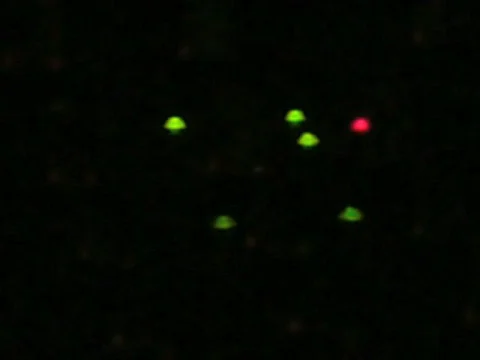  DJ lights Stock Footage 538058