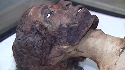 Djedptahiufankh Stock Footage 252835146