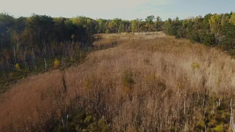 DJI 0006 Stock Footage 122337173