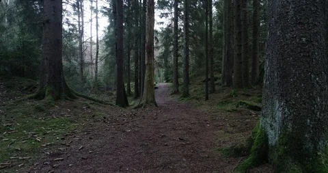 DJI 0007 Stock Footage 102228202