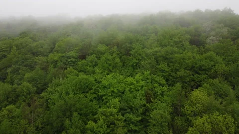 DJI 0007.MP4 003 動画素材 154975415