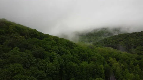 DJI 0007.MP4 004 動画素材 154975417