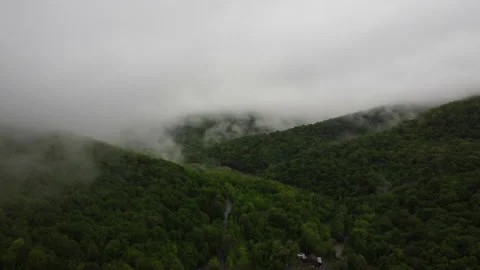 DJI 0007.MP4 動画素材 154975668