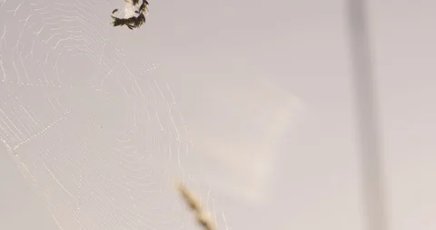 DJI 0008 103 Stock Footage 102945661