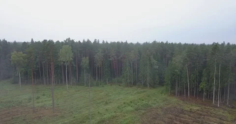 DJI 0008 Stock Footage 121367403