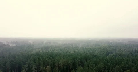 DJI 0010 1 Stock Footage 121376032