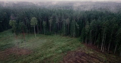 DJI 0010 2 Stock Footage 121376348