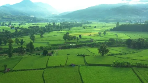 DJI 0010 Stock Footage 140403130