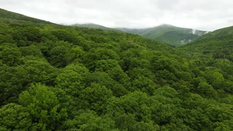 DJI 0010.MP4 001 動画素材 154976158