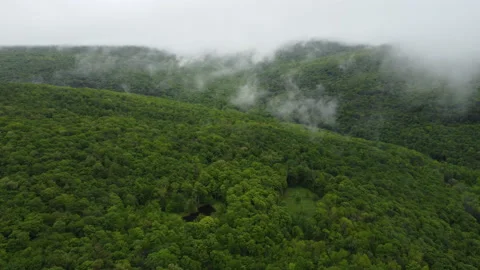 DJI 0010.MP4 動画素材 154975988