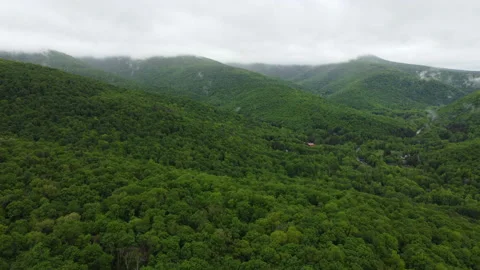 DJI 0011.MP4 動画素材 154975800