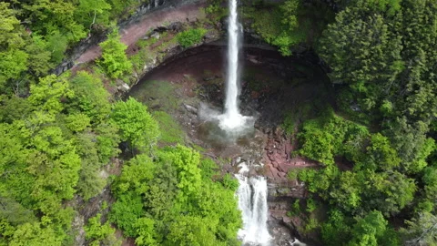 DJI 0012.MP4 002 動画素材 154976029