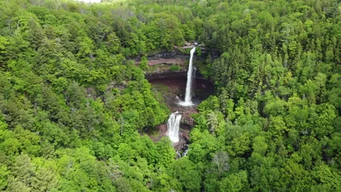 DJI 0012.MP4 004 動画素材 154976236