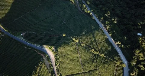 DJI 0014 Stock Footage 92665618