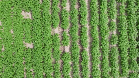 DJI 0022 4K 30fps Video stock 153801931
