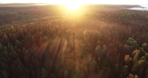 DJI 002444 Stock Footage 99981543