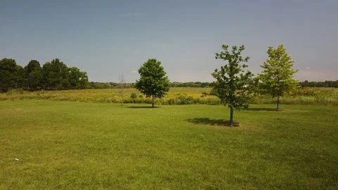 DJI 0025-1 Video stock 137214634