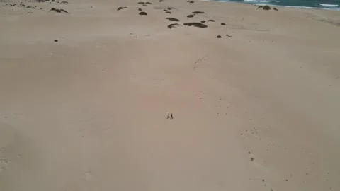 DJI 0033 動画素材 272259646