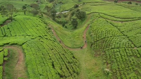 DJI 0038 Video stock 221142556