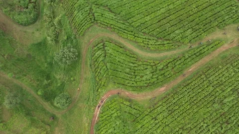 DJI 0039 Video stock 221142166