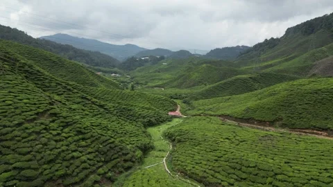 DJI 0044 Stock Footage 246135169