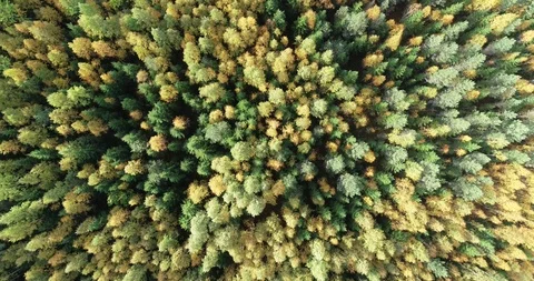 DJI 0063 Stock Footage 99508513