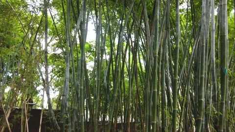 DJI 0072 Stock Footage 168024024