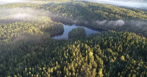 DJI 0077 Stock Footage 99981111