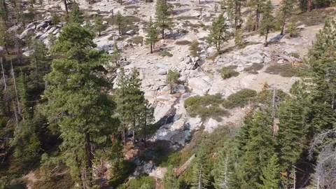 DJI 0077 Stock Footage 172167525