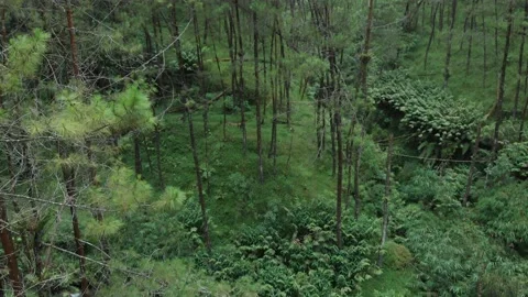 DJI 0080 Stock Footage 172095629