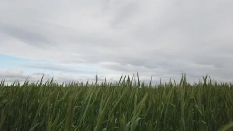 DJI 0082 Stock Footage 131016833