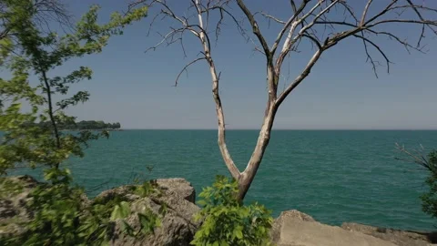 DJI 0087 Video stock 135680754