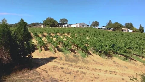 DJI 0090 3 Stock Footage 250230822