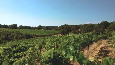 DJI 0090 Stock-Footage 250230827