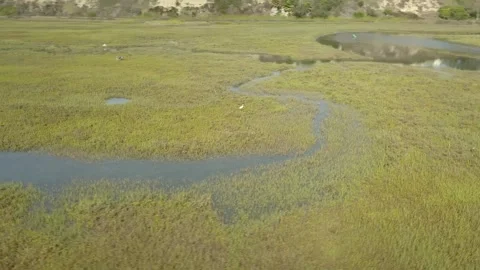 DJI 0121 Stock Footage 246271897