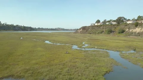 DJI 0125 Stock Footage 246272895