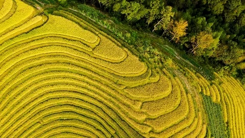 DJI 0158 Stock Footage 117216267