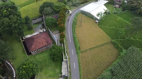 DJI 0179 Sesar Journey Stock Footage 245814186