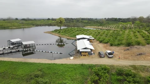 DJI 0184 Video stock 221380512