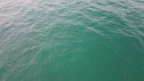 DJI 0189 Stock Footage 167869899