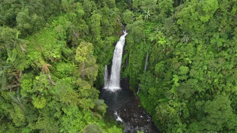 DJI 0196 Sesar Journey Stock Footage 245809756