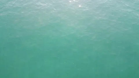 DJI 0197 Stock Footage 167869963