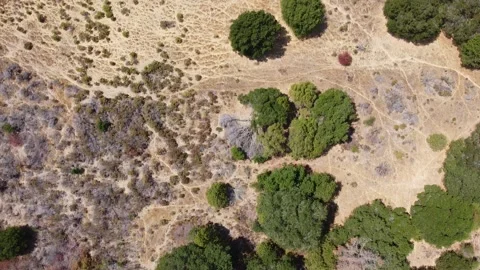 DJI 0290 Stock Footage 167871019