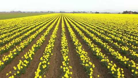 DJI 0312 Stock Footage 238877796