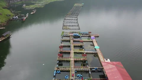 DJI 0340 Sesar Journey The drone view of Menjer Lake, Wonosobo Stock Footage 246132553